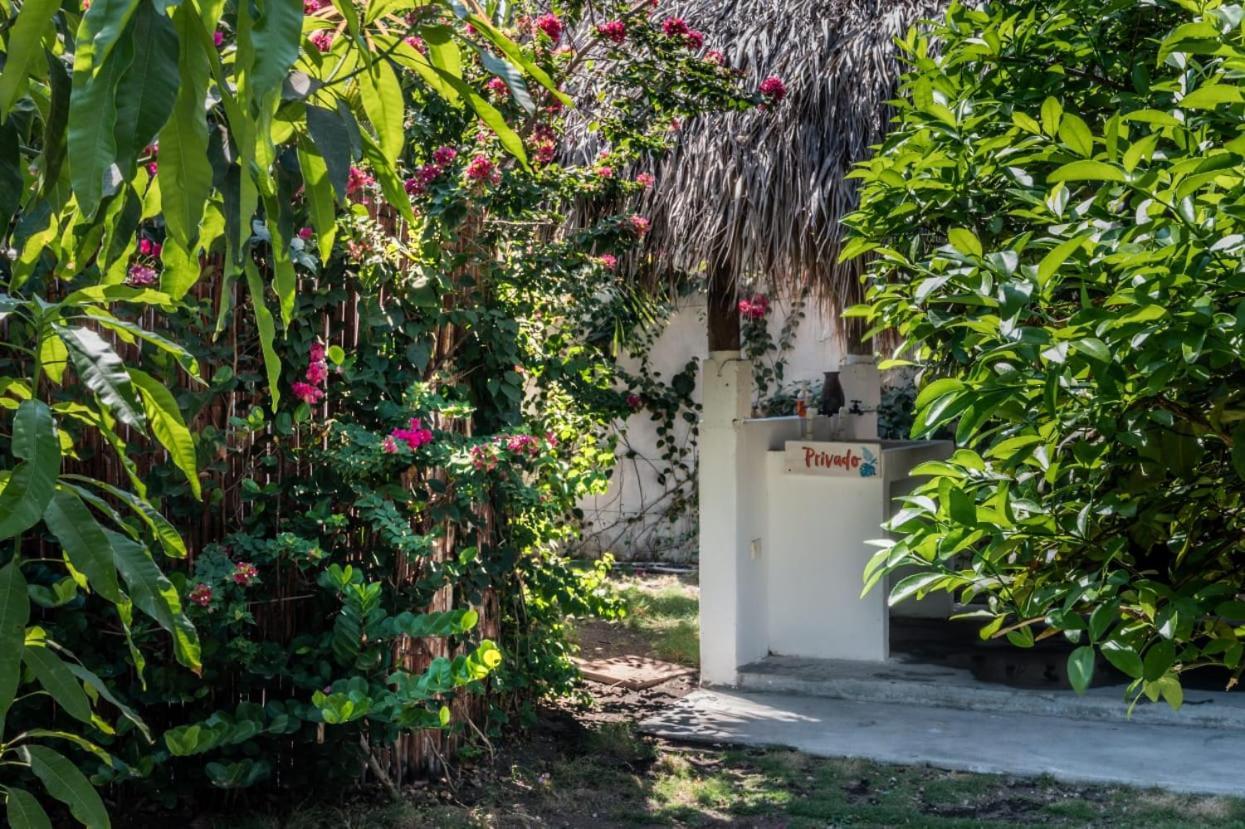 Zoah Surf Boutique Hotel, El Paredon El Paredón Buena Vista Eksteriør billede